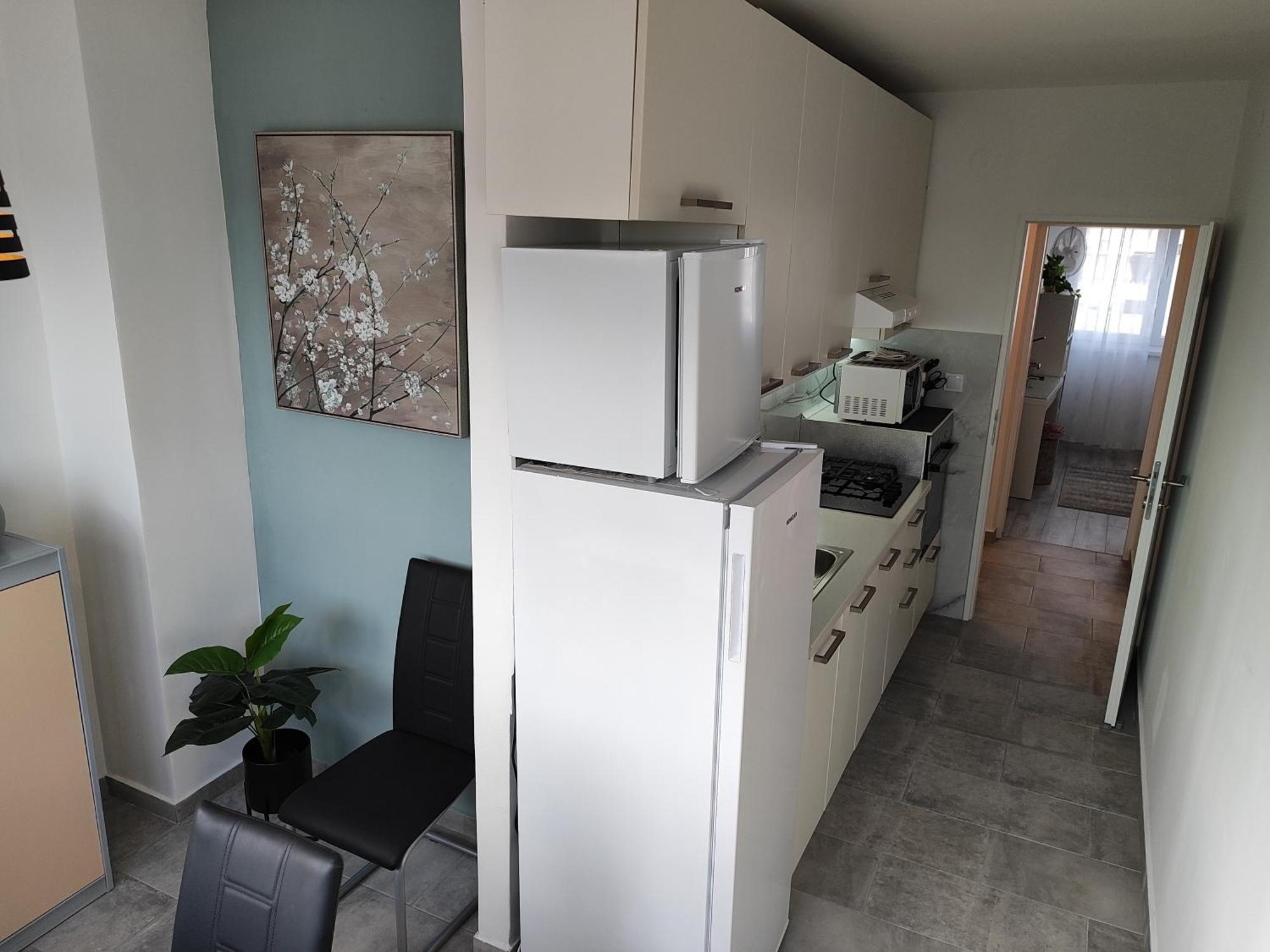 With Garage Apartment