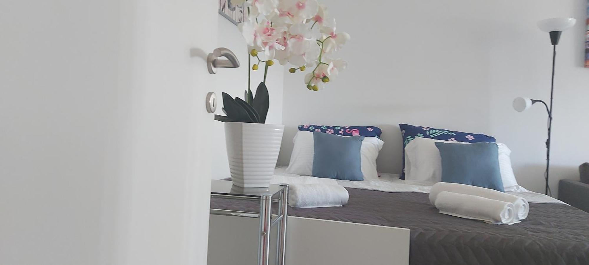 With Garage Apartment *